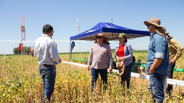 BASF expuso resultados de tres variedades rústicas de soja en jornada de Cooperativa Volendam