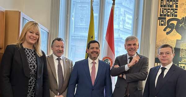 La Nación / Latorre destacó valores de Paraguay ante representantes del Parlamento Flamenco en Bélgica