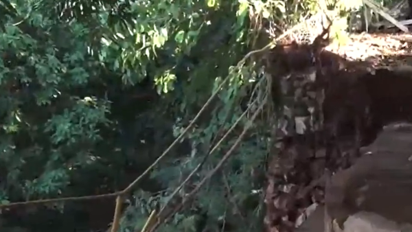 Muro de contención cede y vecinos denuncian inacción de la Comuna