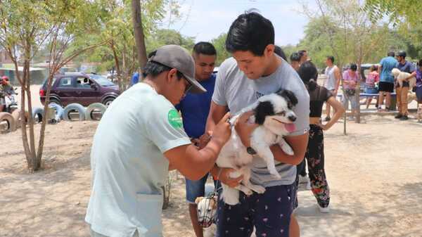 En el día Mundial de las enfermedades Tropicales desatendidas, instan a vacunar mascotas - Unicanal