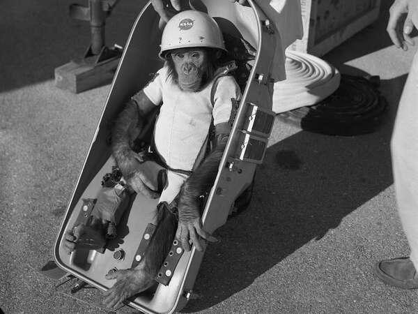 Efemérides: un día como hoy, pero de 1961, un primer homínido llegaba al espacio exterior - Ciencia - ABC Color