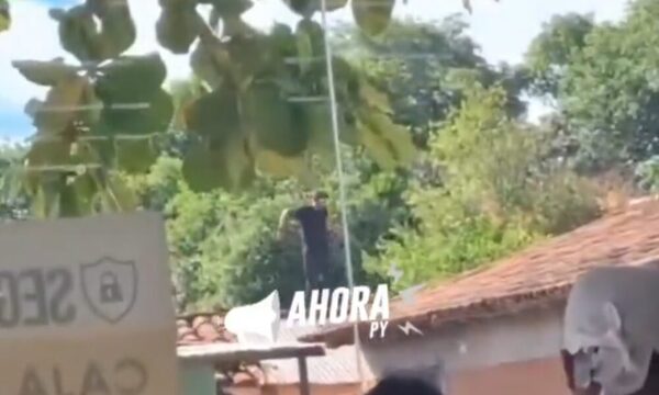 (VIDEO) Atraparon a ladrón ñembo “spiderman”