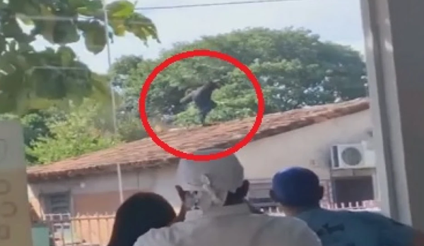 Amenazó a su madre con un cuchillo y huyó de la Policía saltando por los techos - Noticiero Paraguay