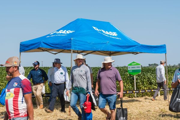 BASF destacó su portafolio de variedades en el Día de Campo de la Cooperativa Bergthal