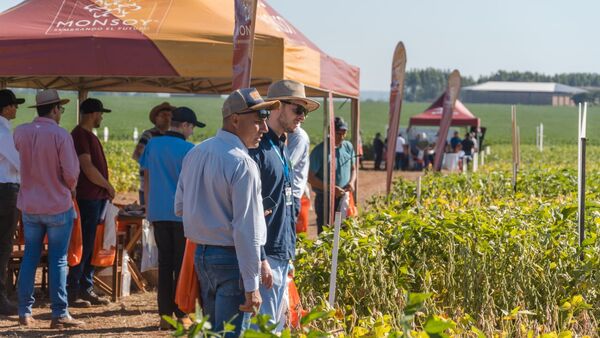 Monsoy presentó sus nuevas variedades en el Día de Campo de Sem Agro