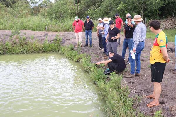 Misión de Taiwán visita estanques de producción de peces en Tavapy - La Clave