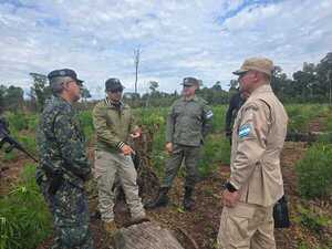 Operación RAFAELO: Paraguay y Argentina iniciaron la lucha contra el narcotráfico - Unicanal