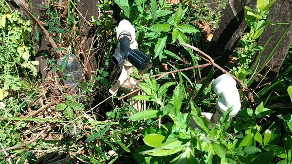 Denuncian conexiones clandestinas en servicios de agua y electricidad en San José Olero