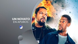 Un novato en apuros