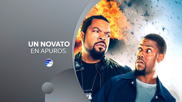 Un novato en apuros