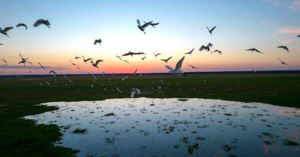 La Nación / Política ambiental genera varios logros