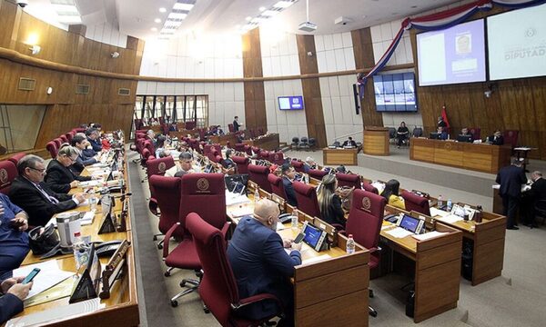 Diputados pide informe a Petropar sobre polémica adjudicación