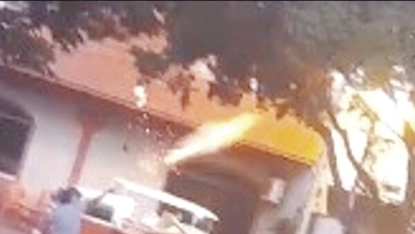 Taxistas lanzaron bombas 12x1 por pajaritos en árbol