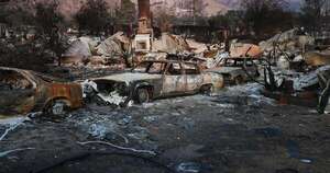 La Nación / Los Ángeles: recaudan USD 5 millones para víctimas de incendios ya controlados