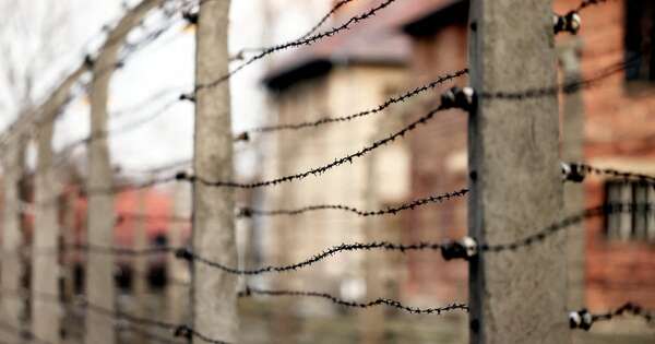 La Nación / Un genocidio olvidado: las atrocidades de los nazis contra los gitanos