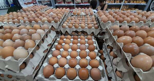 La Nación / Altas temperaturas inciden en producción y precios del huevo, señala Avipar