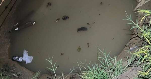 La Nación / Niño de tres años falleció tras caer a un pozo de agua