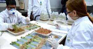 La Nación / Conacyt cumple 28 años fortaleciendo la ciencia