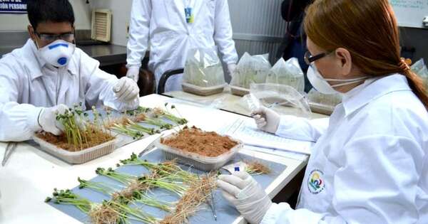 La Nación / Conacyt cumple 28 años fortaleciendo la ciencia