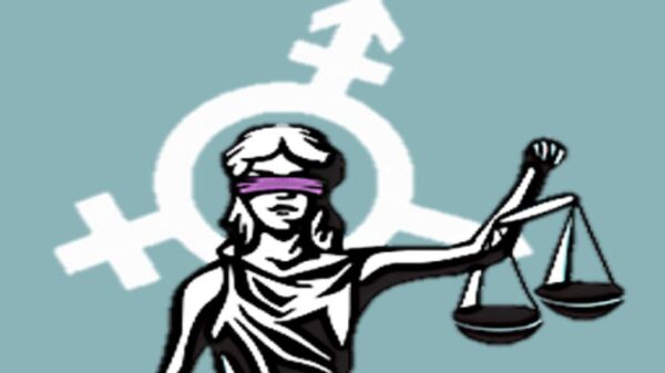 Juzgados y tribunales especializados en violencia contra la mujer vs Constitucion Nacional del Paraguay