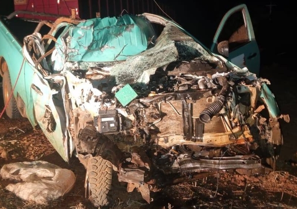Móvil de la ANDE chocó contra un transganado