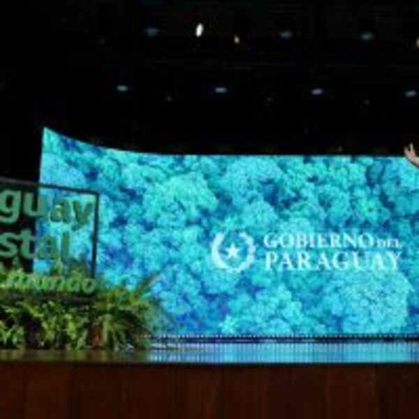 INFONA lanza nueva plataforma para gestión forestal sostenible :: Presidencia de la República del Paraguay