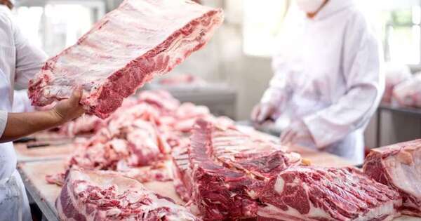 La Nación / Precio de la carne: Conacom verifica si existen comportamientos anticompetitivos