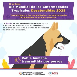 Rabia humana, enfermedad prevenible con la vacunación efectiva de mascotas - ADN Digital