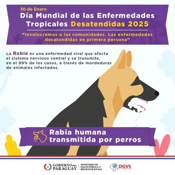 Rabia humana, enfermedad prevenible con la vacunación efectiva de mascotas - ADN Digital