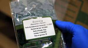 ITAIPU refuerza producción de sobres de hierbas medicinales siguiendo riguroso proceso de calidad