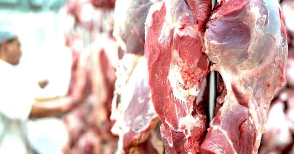 Diario HOY | Investigan suba de carne: “Se ve un inusual comportamiento”