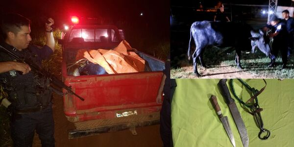 INCAUTARON CAMIONETA Y RECUPERARON ANIMAL VACUNO ROBADO - Itapúa Noticias