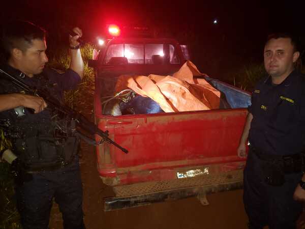 Frustran caso de abigeato en Coronel Bogado