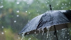 Lluvias, pero "no sobre todas las cabezas" desde el jueves - 1000 Noticias
