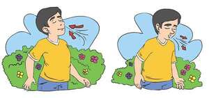 Ejercicios sobre el aparato respiratorio humano - Ciencias de la Naturaleza y de la Salud Tercer Ciclo - ABC Color
