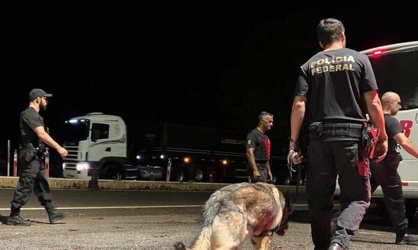 Policía Federal refuerza controles en la Triple Frontera y detiene a un hombre con droga y anabólicos