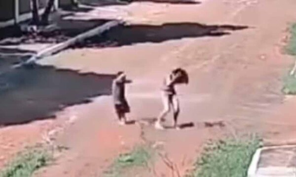 Ataque de abejas deja un perro muerto y dos menores afectados por picaduras – Prensa 5