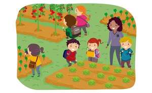 El aprendizaje significativo - Formación Docente Contínua - ABC Color