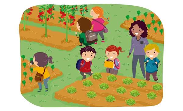 El aprendizaje significativo - Formación Docente Contínua - ABC Color