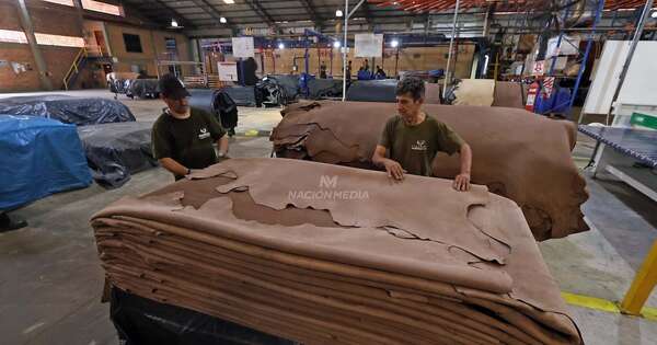 La Nación / Industria del cuero crece con envíos por USD 92 millones - OJO Galería