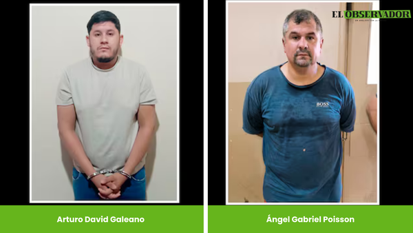 “No se ha tramitado ni presentado ninguna garantía constitucional”