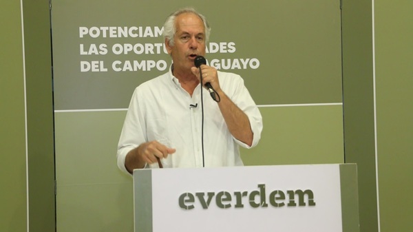 Hoy martes, Everdem remata 650 vacunos de invernada por pantalla