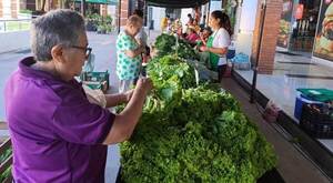 La inflación en enero alcanzó el 1%