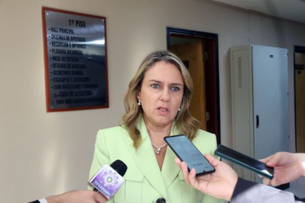 Tras escándalo de corrupción y tráfico de influencias, diputada dice que el JEM debe desaparecer