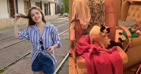 La Nación / Verdura, el gato que conmocionó a los fanáticos de Gaby Ovelar
