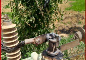 INTENSO CALOR PROVOCA DAÑOS A EQUIPOS DE LA ANDE