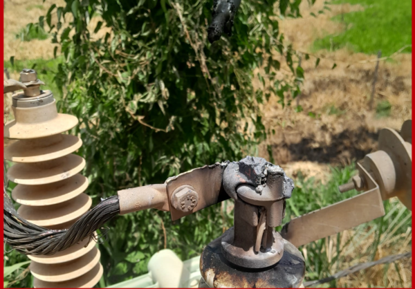 INTENSO CALOR PROVOCA DAÑOS A EQUIPOS DE LA ANDE