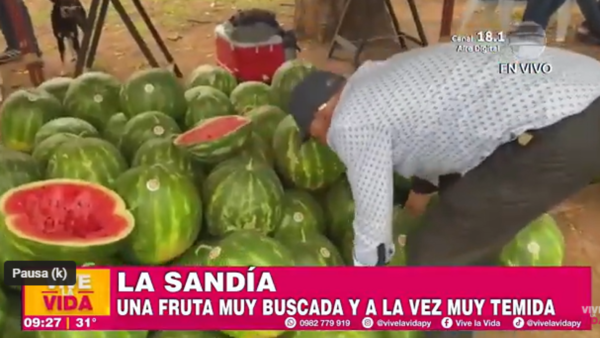 La Sandía una fruta muy buscada y a la vez muy temida