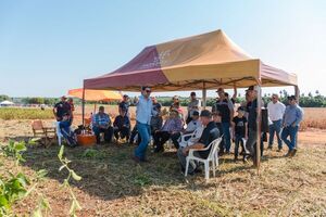 Monsoy presentó sus nuevas variedades en el Día de Campo de Sem Agro