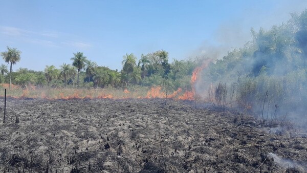 Incendio forestal destruye tres hectáreas de tierra en San Bernardino